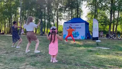 В Нижнекамске впервые прошёл фестиваль по сбору корма для бездомных животных - НТР 24