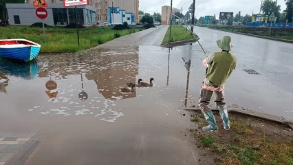 Жители Нижнекамска поделились мемами о городе - НТР 24