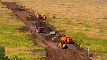 Нижнекамцам объяснили, что происходит в поле за домом на пр. Мира - НТР 24