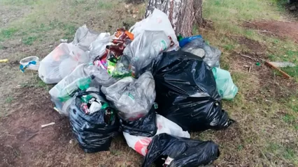 Нижнекамцы собрали гору мусора на берегу пруда - НТР 24