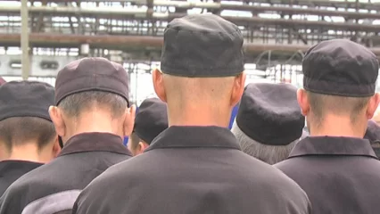 В Татарстане на складе известного маркетплейса начнут работать осужденные - НТР 24