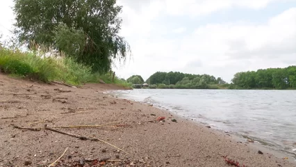 В Нижнекамске устанавливают причину, по которой мужчина утонул в озере Юртово - НТР 24