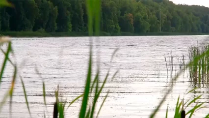 В нижнекамских СНТ начнут брать плату за пользование водой из озера Каракуль - НТР 24