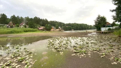 Под Нижнекамском практически высохло озеро Подборное — вода убывает по 5 см в день - НТР 24