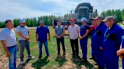 В Нижнекамске состоялся парад комбайнов - НТР 24