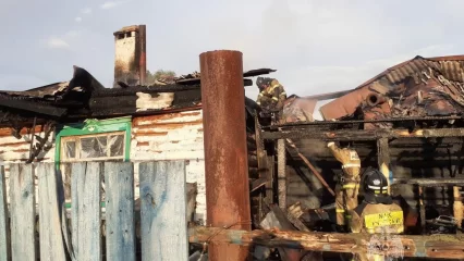 Хозяин дома погиб при пожаре в Татарстане