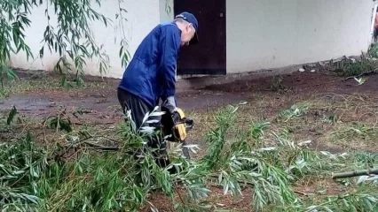 В Нижнекамске второй день устраняют последствия шквалистого ветра - НТР 24