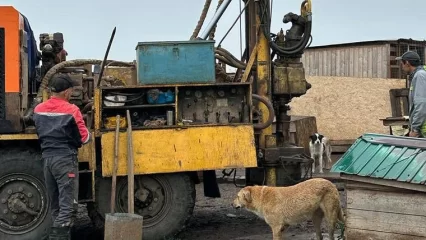 В нижнекамском приюте для животных «Добрые руки» бурят скважину - НТР 24