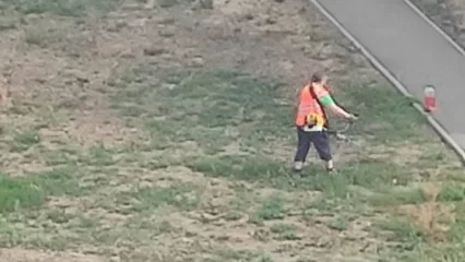 Исполком Нижнекамска: жильцы домов могут отказаться от покоса травы во дворах - НТР 24