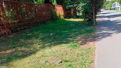 В Нижнекамске убрали урну со скамейкой около детского сада из-за пьющих алкоголь людей - НТР 24