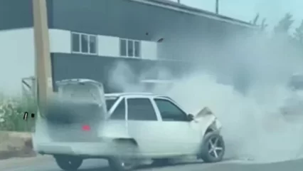 В Нижнекамске на промзоне загорелся автомобиль - НТР 24