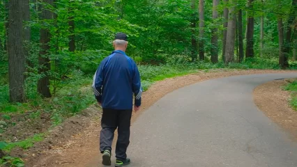 МЧС: чаще всего в Татарстане теряются в лесах грибники и ягодники пенсионного возраста - НТР 24