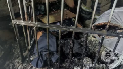 В одной из квартир Казани начался пожар из-за пауэрбанка