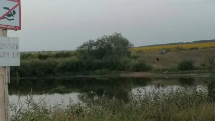В Татарстане 14-летняя девочка утонула в пруду, её старшую сестру спасли - НТР 24