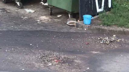 Нижнекамка рассказала о том, что оставил после себя мусоровоз - НТР 24