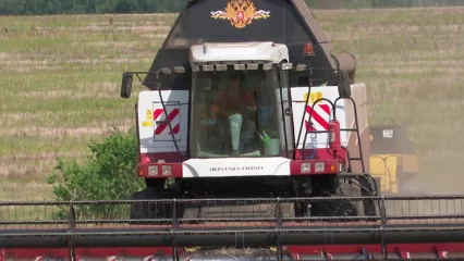 В Нижнекамском районе ежедневно 55 комбайнов убирают зерновые культуры