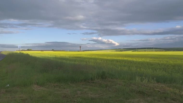 Синоптики спрогнозировали, когда в Татарстане пройдет дождь