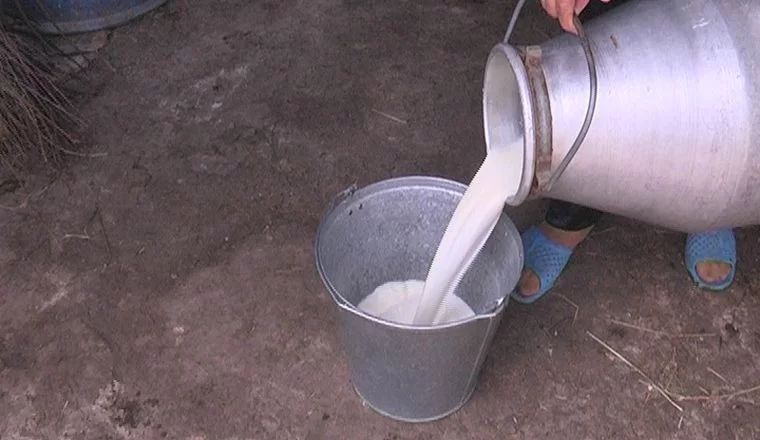 Татарстан занял второе место в ПФО по темпу роста надоя молока
