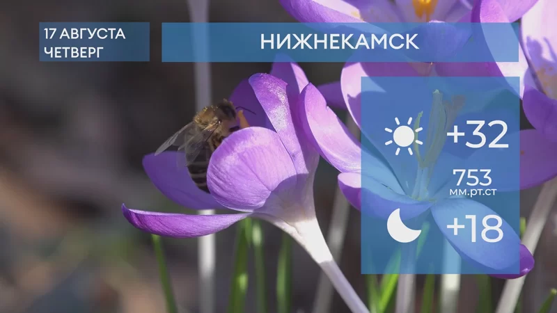 Прогноз погоды в Нижнекамске на 17-е августа 2023 года
