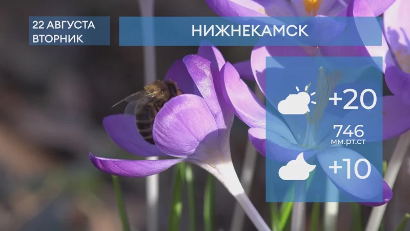 Прогноз погоды в Нижнекамске на 22-е августа 2023 года