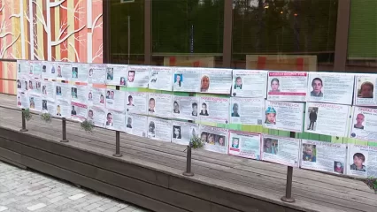 В Нижнекамске нужны добровольцы для поиска пропавших людей - НТР 24