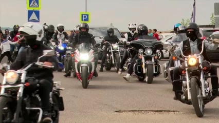 Нижнекамские мотолюбители покатают детей на лошадях и мотоциклах - НТР 24