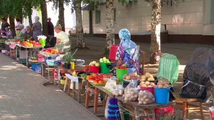 В Нижнекамске хотят обустроить торговые точки для пенсионеров-огородников - НТР 24