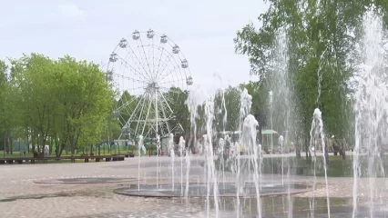 На благотворительном фестивале в Нижнекамске пройдет сбор вторсырья - НТР 24