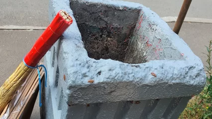 В одном из дворов Нижнекамска тараканы «захватили» урны - НТР 24