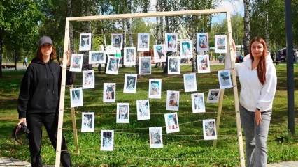 В Нижнекамске стартовала акция «Мой друг» - НТР 24