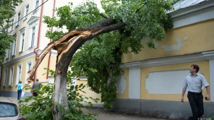 В Татарстане может увеличиться количество ураганов и смерчей