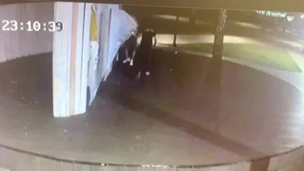 Сцену нижнекамского центрального парка вновь атаковали вандалы - НТР 24