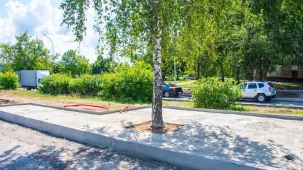 В Нижнекамске наказали рабочего «закатавшего» в бетон берёзу, ошибку исправили - НТР 24