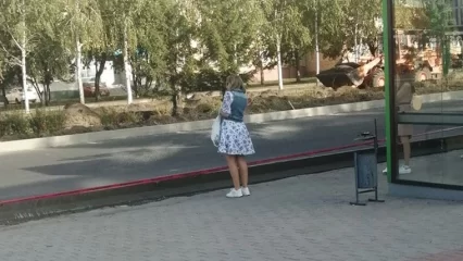 Жителей Нижнекамска возмутили высокие бордюры в городе - НТР 24