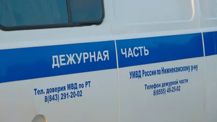 В Нижнекамске задержали пьяных девушек, оскорбивших полицейских - НТР 24