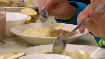 В 33 детсадах Нижнекамска предусмотрено халяльное питание - НТР 24