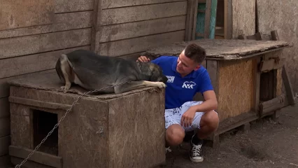 «Молодая гвардия Единой России» помогла приюту для животных «Добрые руки» - НТР 24