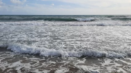 Нижнекамцам рассказали о новой схеме обмана от мошенников-туроператоров - НТР 24