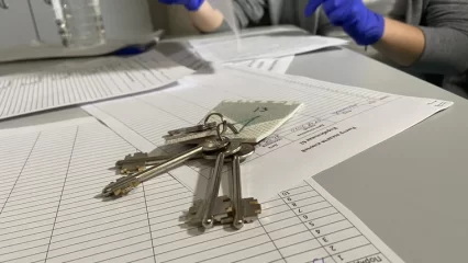 В Татарстане многодетным семьям предоставлено более 46 тысяч земельных участков - НТР 24