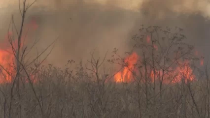 В Татарстане объявили штормовое предупреждение из-за высокой пожароопасности