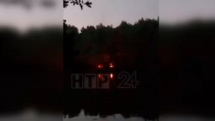 В Нижнекамске заметили нарушителей, жгущих костры в лесу - НТР 24