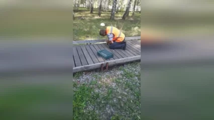 В нижнекамском парке начали закреплять доски на эко-тропе после обращения горожанина - НТР 24