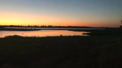 В Нижнекамске на глазах одноклассников утонул подросток — прокуратура организовала проверку - НТР 24