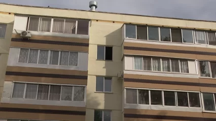 Дворник из Нижнекамска объяснила, что не выбрасывала котенка из окна дома - НТР 24