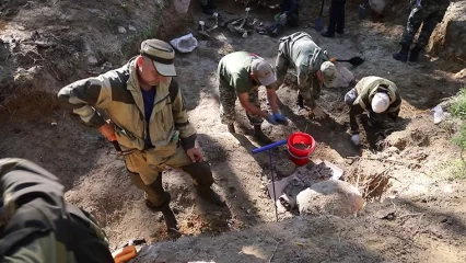 Нижнекамские поисковики подняли останки 50 погибших солдат на раскопках в Карелии - НТР 24