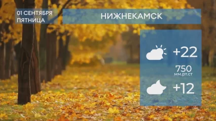Прогноз погоды в Нижнекамске на 1-е сентября 2023 года