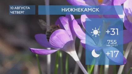 Прогноз погоды в Нижнекамске на 10-е августа 2023 года