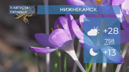 Прогноз погоды в Нижнекамске на 11-е августа 2023 года