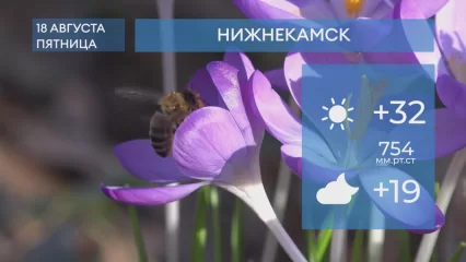 Прогноз погоды в Нижнекамске на 18-е августа 2023 года