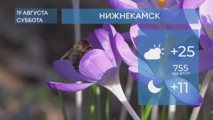 Прогноз погоды в Нижнекамске на 19-е августа 2023 года